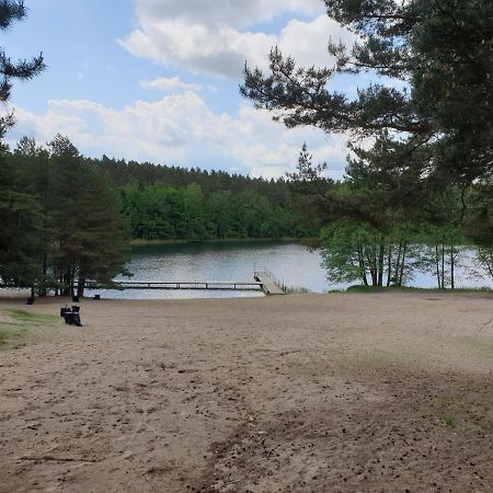 Apartament Pod Sosnami 1 Noclegi Otw Borowno Wlk Skarszewy Экстерьер фото