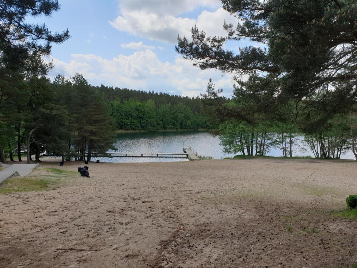 Apartament Pod Sosnami 1 Noclegi Otw Borowno Wlk Skarszewy Экстерьер фото